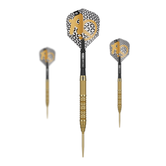 Target Bolide Envy 01 Swiss Point Steeldarts