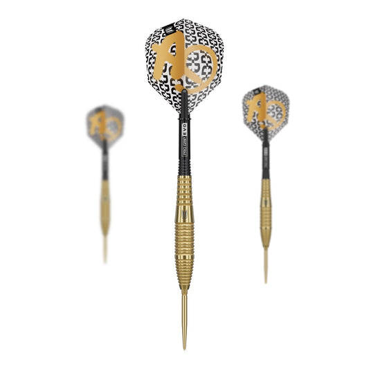 Target Bolide Envy 05 Swiss Point Steeldarts