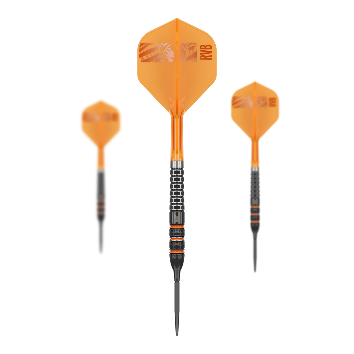 Target Raymond Van Barneveld 95K Swiss Points Steeldarts